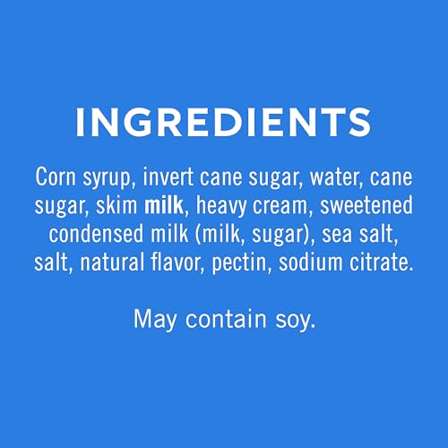 Ghirardelli Sea Salt Caramel / 16 Fl Oz (Pack of 1) / 1 Caramel