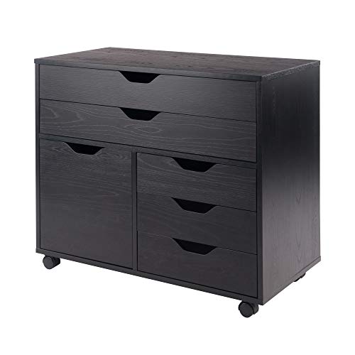 Winsome Black / 2 Doors, 15 Drawers / Contemporary Storage Cabinets