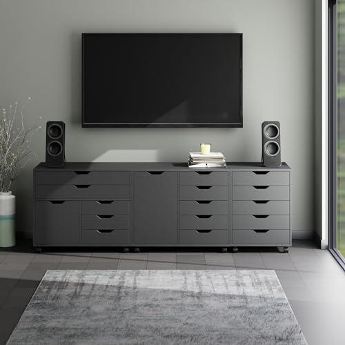 Winsome Black / 2 Doors, 15 Drawers / Contemporary Storage Cabinets