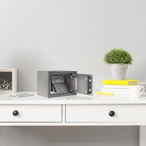 Barska Black / One Size / Compact Cabinet Safes