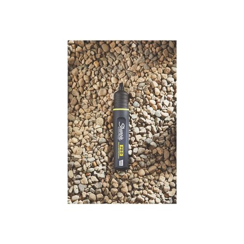 Sharpie Marker / Chisel Tip / 1 Count (Pack of 12) Permanent Markers