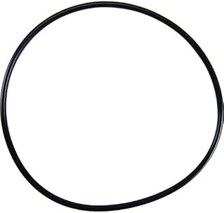 Exact FIT for EVERPURE DEV3093-50 Water Filtration Housing O-Ring - Replacement Part by MAVRIK