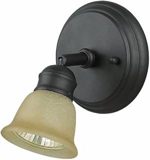 Canarm ICW284A01ORB10 Port 1-Light Ceiling/Wall