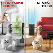 Honeywell Black / Large / 1 HEPA Air Purifiers