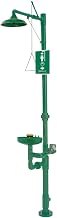 Haws Axion MSR PVC Plastic, Corrosion-Resistant Combo Drench Shower, Eye/Face Wash