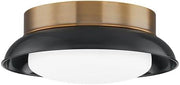 Troy Lighting Arnie 14.25" Flush Mount | Patina Brass and Gloss Black | Opal Matte Glass Diffuser | Modern Farmhouse 2-Light Ceiling Light | Made of Steel and Glass | 14.25"W x 5.25"H | C2014-PBR/GBK