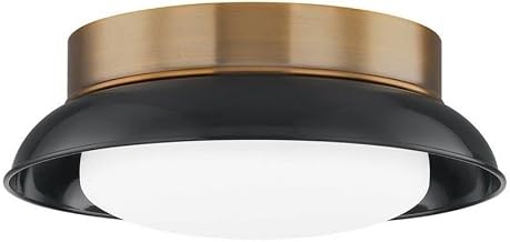 Troy Lighting Arnie 14.25" Flush Mount | Patina Brass and Gloss Black | Opal Matte Glass Diffuser | Modern Farmhouse 2-Light Ceiling Light | Made of Steel and Glass | 14.25"W x 5.25"H | C2014-PBR/GBK
