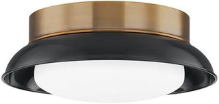 Troy Lighting Arnie 14.25" Flush Mount | Patina Brass and Gloss Black | Opal Matte Glass Diffuser | Modern Farmhouse 2-Light Ceiling Light | Made of Steel and Glass | 14.25"W x 5.25"H | C2014-PBR/GBK
