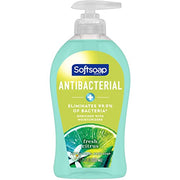 Softsoap Green / 11.25 Fl Oz (Pack of 1) / Citrus Hand Wash