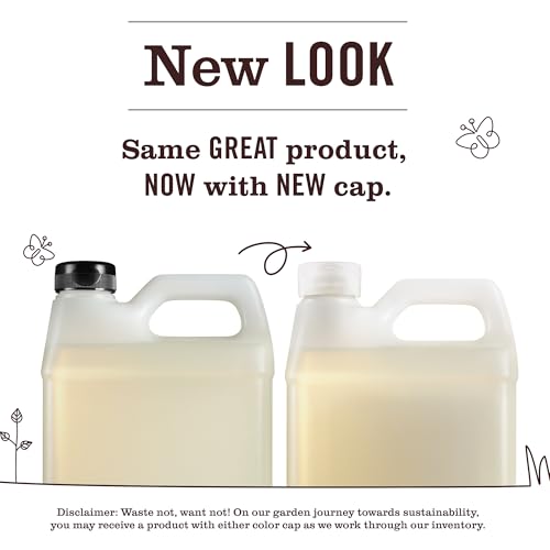 Mrs. MEYER'S 33 Ounce (Pack of 6) / 무색 / 1 Hand Wash