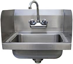 Wall Mount Hand Sink w/ 14"L x 10"W x 5"D Bowl, Side Splashes