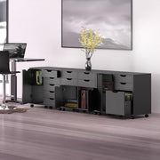 Winsome Black / 4 Doors, 12 Drawers, File Drawer / Transitional Home Office Cabinets