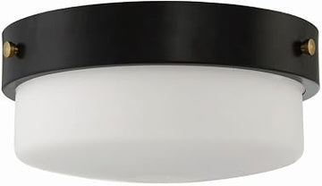 Craftmade Oak Street 13.75" Flushmount Flat Black
