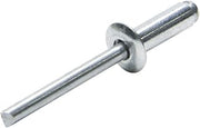 Allstar Performance Sm Hd Rivet Silver Alum 250pk