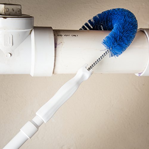 SPARTA Blue/White / 1 / 11-1/2" (Pack of 1) Brushes