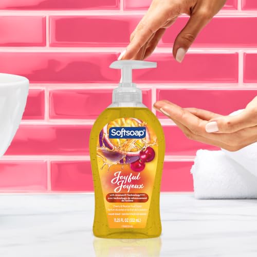 Softsoap 11.25 Fl Oz (Pack of 6) / Joyful / 6 Hand Wash