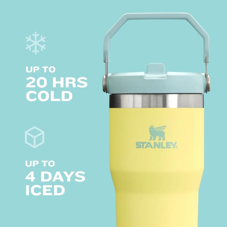 IceFlow Flip Straw Tumbler with Handle 30 oz | Twist On Lid and Flip Up Straw | Leak Resistant Water Bottle | Insulated Stainless Steel |BPA-Free | Pomelo by STANLEY – Model