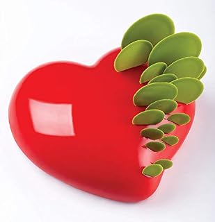 Pavoni Pavocake Silicone Baking Mold Freezing Mold, "Passion" Heart Shape 5.91" x 5.51" x 1.93" High