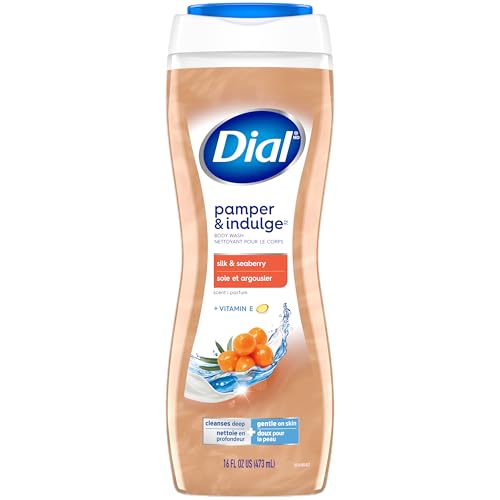 Dial 16 Fl Oz (Pack of 1) / 1 Body Washes