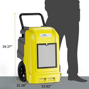 ALORAIR Light Yellow / Storm Ultra / Storm Ultra Yellow NO WIFI Dehumidifiers