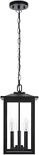 Elegant Lighting Carlisle 7" Outdoor Pendant in Black