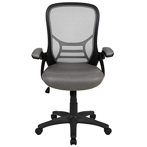 Flash Furniture Light Gray / Set of 1 / Contemporary Home Office Desk Chairs