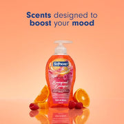 Softsoap 11.25 Fl Oz (Pack of 6) / Energized / 6 Hand Wash