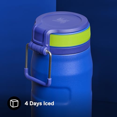 STANLEY Cobalt Chartreuse / 24 Ounces / 0.71 liters Sports Water Bottles