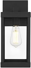 Peter One Light Outdoor Wall Sconce Black