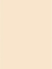 Pacon Tagboard Manila Medium Weight 9x12"