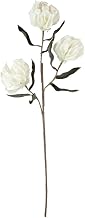 KALALOU CLX3305 Botanica #3305