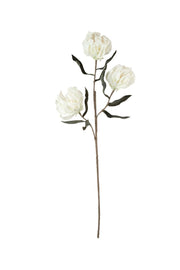 Botanica # by KALALOU – Model CLX3305