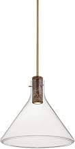 Hudson Valley Lighting West Hill 1-Light Pendant | Essential & Natural Style | Patina Brass Finish | Glass Shade | Damp-Rated for Bathroom Use | Adjustable Hang Height 22-76" | 1619-PBR