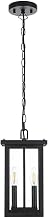Venango Two Light Outdoor Pendant Black
