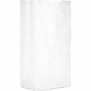 Bleached Grocery Bag - 500 per case. by AJM Packaging – 5" x 3.10", Paper, White, Pack of 500, Model FBA_WB04NP5C