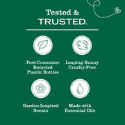 Rose Scent Kitchen Basics Set by Mrs. MEYER'S – 3 Count (Pack of 1), Model Ayestar