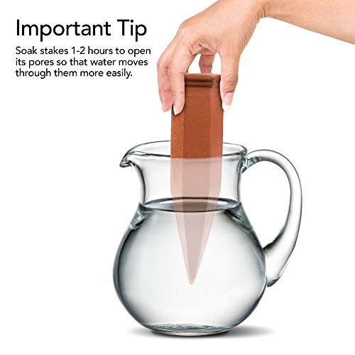 Modern Innovations 8 Pack / Terracotta / Tube Self-Watering Stakes