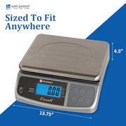 San Jamar 66.0 pounds / Metal / 1 Digital Scales