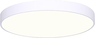 Canarm LED 14-Inch Flush Mount Ceiling Light, 30W Dimmable White Finish with Adjustable 5CCT, Low Profile Lighting for Kitchen, Bathroom or Office