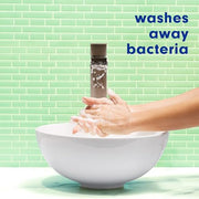 Softsoap Rosewater & Aloe / 11.25 Fl Oz (Pack of 6) / Clear Hand Wash