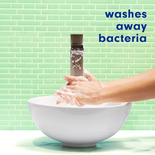 Softsoap Rosewater & Aloe / 11.25 Fl Oz (Pack of 6) / Clear Hand Wash