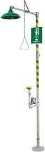 Haws Axion MSR Combination Eye/Face Wash And Shower, 8317, No Receptor