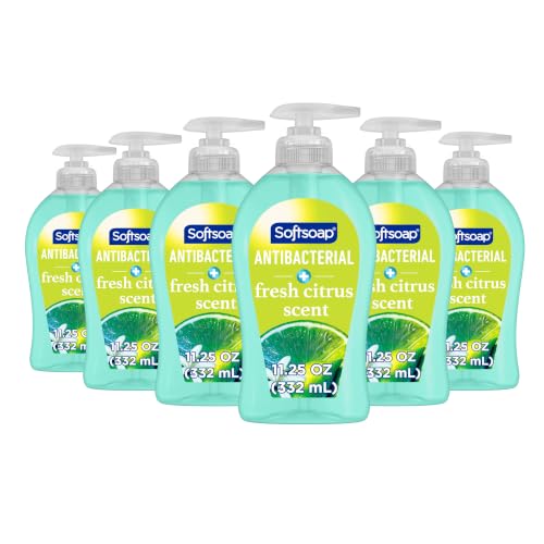 Softsoap Fresh Citrus / 11.25 Fl Oz (Pack of 6) / Blue Hand Wash