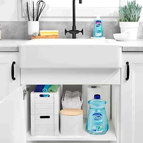 Dial 32 Fl Oz (Pack of 1) / Spring Water / White Hand Wash
