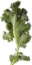 Savor Brands Individual Quick Frozen Chopped Kale, 3 Pound - 6 per case.