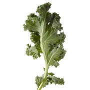 Savor Brands Individual Quick Frozen Chopped Kale by Savor Imports – Pack of 6