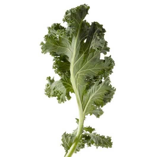 Savor Brands Individual Quick Frozen Chopped Kale by Savor Imports – Pack of 6