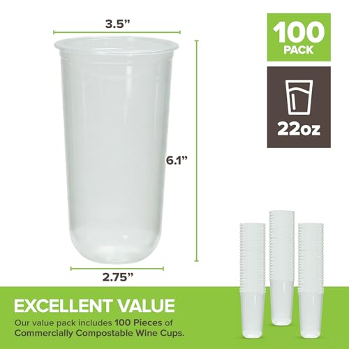 Stock Your Home 22oz / 100 / Clear Cups