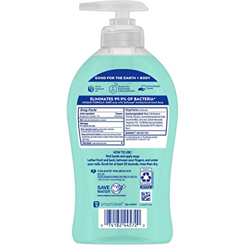Softsoap Green / 11.25 Fl Oz (Pack of 1) / Citrus Hand Wash