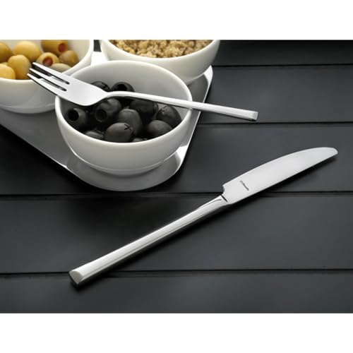 Amefa knife / Cuchillo / unique Dinner Knives